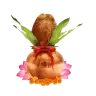 Make Your Bangalore Pooja or Havan Special with Our North Indian Pandits